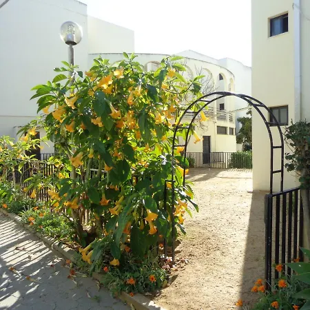 T3 Apartament